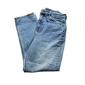 American Eagle Outfitters Curvy Mom Stretch Jean Women 10 Regular High Rise Pant